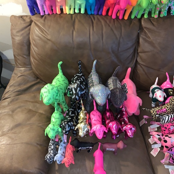 Meet your Posher, Savannah - Picture 4 of 8